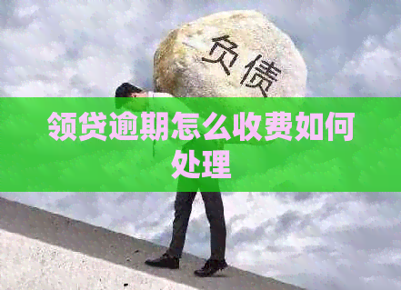 领贷逾期怎么收费如何处理