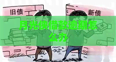 月光侠借款逾期怎么办