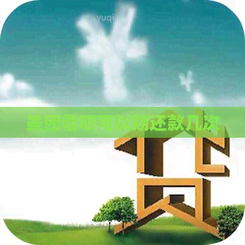 美团网贷可以期还款几次