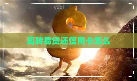 周转易贷还信用卡怎么