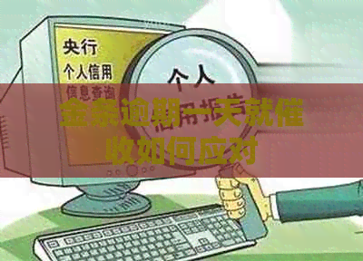金条逾期一天就如何应对 金条逾期一天就如何应对