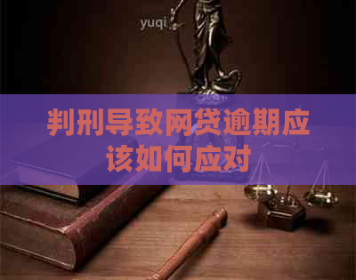 判刑导致网贷逾期应该如何应对