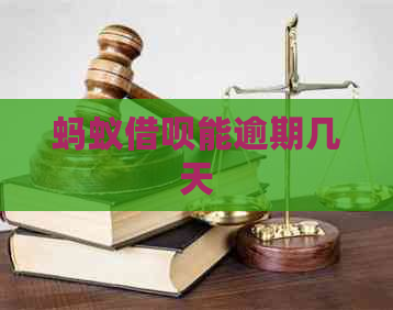 蚂蚁网贷能逾期几天