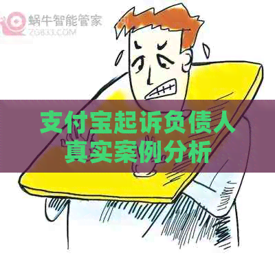 支付宝起诉负债人真实案例分析