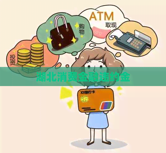 湖北消费金融违约金
