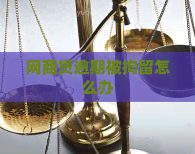 网贷逾期被拘留怎么办