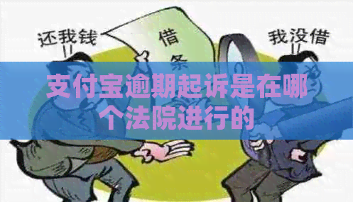 支付宝逾期起诉是在哪个法院进行的