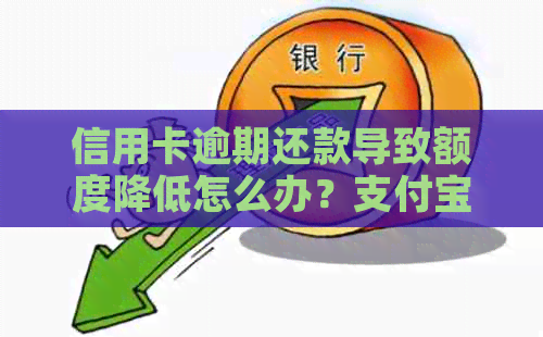 信用卡逾期还款导致额度降低怎么办？支付宝代还技巧解析