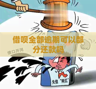网贷全部逾期可以部分还款吗