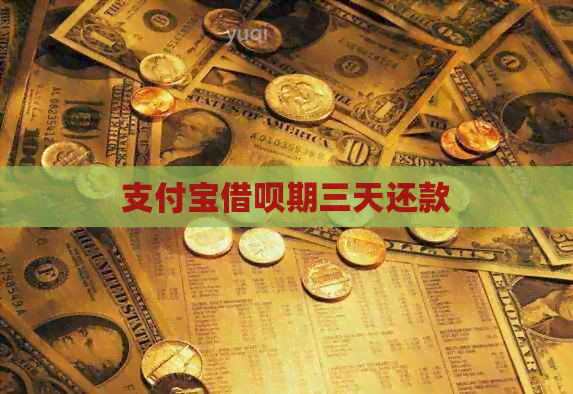 支付宝网贷期三天还款