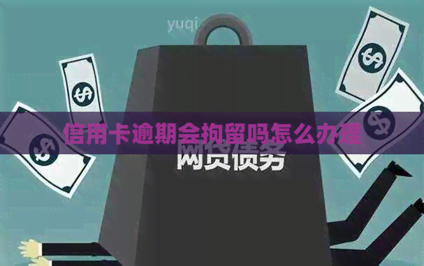 信用卡逾期会拘留吗怎么办理 信用卡逾期会拘留吗怎么办理