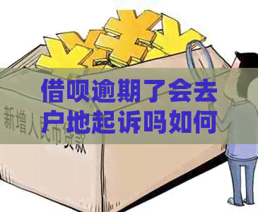 网贷逾期了会去户地起诉吗如何解决