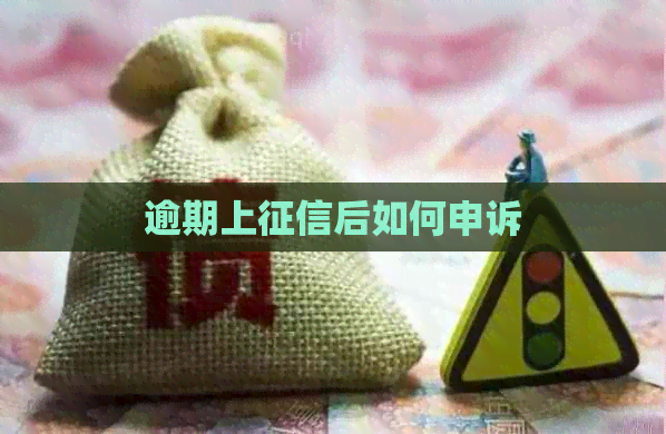 逾期上后如何申诉