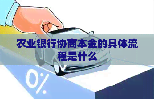 农业银行协商本金的具体流程是什么