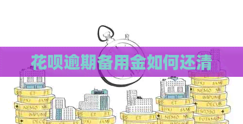 信用卡逾期备用金如何还清