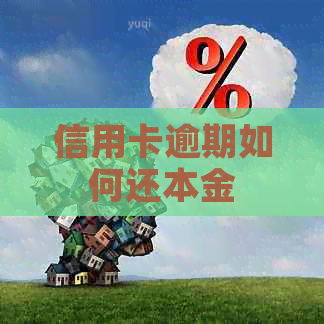 信用卡逾期如何还本金