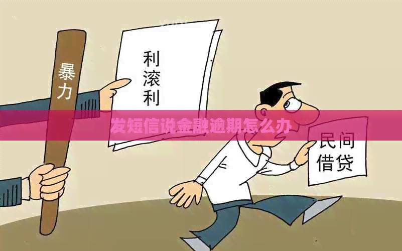 发短信说金融逾期怎么办