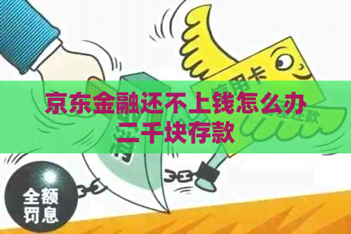 京东金融还不上钱怎么办二千块存款 京东金融还不上钱怎么办二千块存款