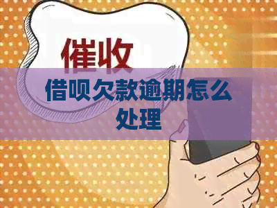 网贷欠款逾期怎么处理