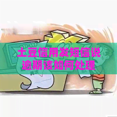土豆信用发短信说逾期该如何处理