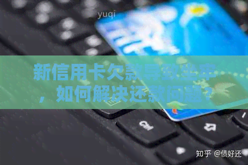 新信用卡欠款导致坐牢，如何解决还款问题？