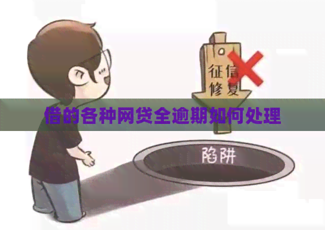 借的各种网贷全逾期如何处理