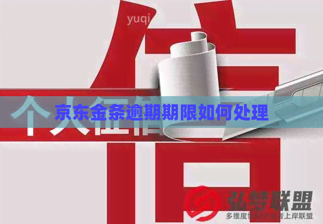 京东金条逾期期限如何处理