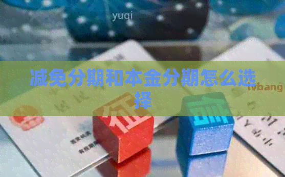 减免分期和本金分期怎么选择