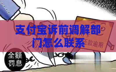 支付宝诉前调解部门怎么联系