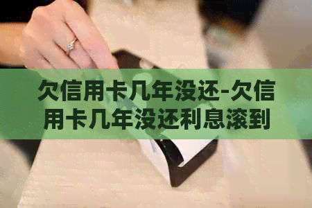 欠信用卡几年没还-欠信用卡几年没还利息滚到十几万
