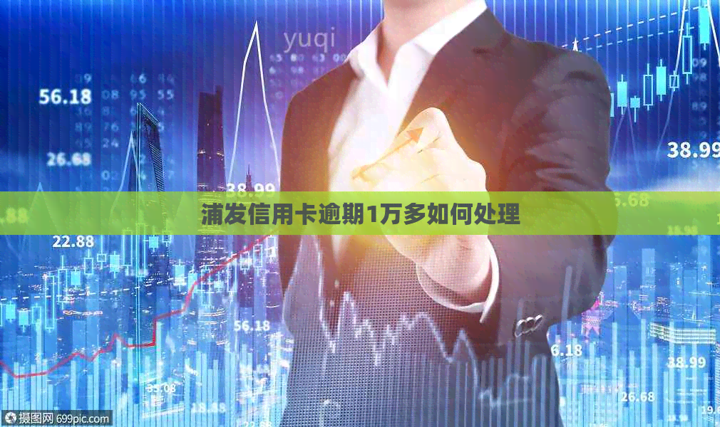 浦发信用卡逾期1万多如何处理