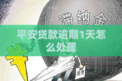 平安贷款逾期1天怎么处理