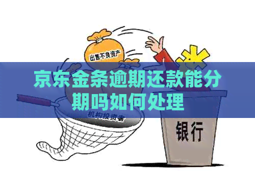 京东金条逾期还款能分期吗如何处理