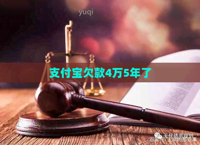 支付宝欠款4万5年了