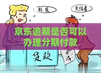 京东逾期是否可以办理分期付款