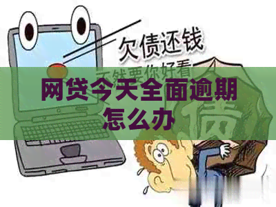 网贷今天全面逾期怎么办