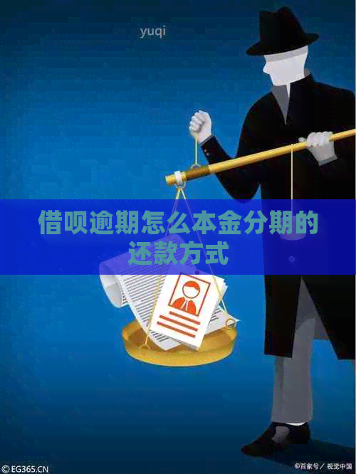 网贷逾期怎么本金分期的还款方式