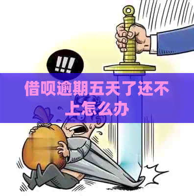 网贷逾期五天了还不上怎么办