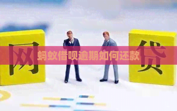 蚂蚁网贷逾期如何还款