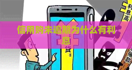 信用购未逾期为什么有利息