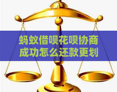 蚂蚁网贷信用卡协商成功怎么还款更划算