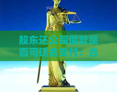股东还公司借款是否可现金支付：合法性与实际操作解析