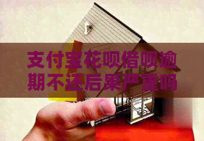 支付宝信用卡网贷逾期不还后果严重吗