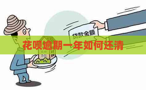 信用卡逾期一年如何还清