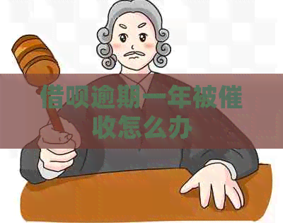 网贷逾期一年被怎么办