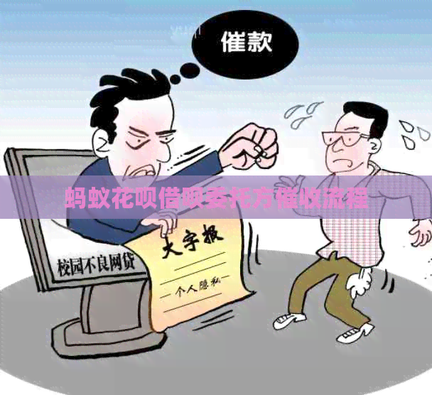 蚂蚁信用卡网贷委托方流程