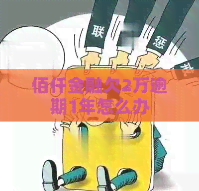 佰仟金融欠2万逾期1年怎么办