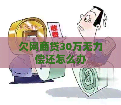 欠网贷30万无力偿还怎么办