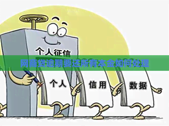 网贷逾期要还所有本金如何处理