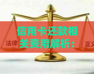 信用卡还款相关费用解析：是否需要支付手续费？